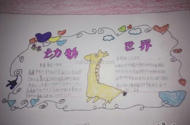 小猪怎么画手抄报 动物手抄报简单漂亮教程？