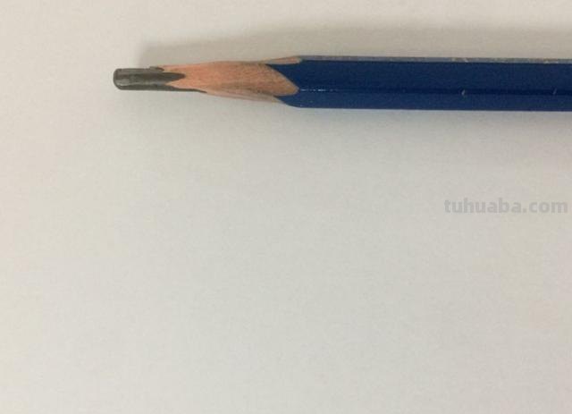 小猪怎么画手抄报 动物手抄报简单漂亮教程？