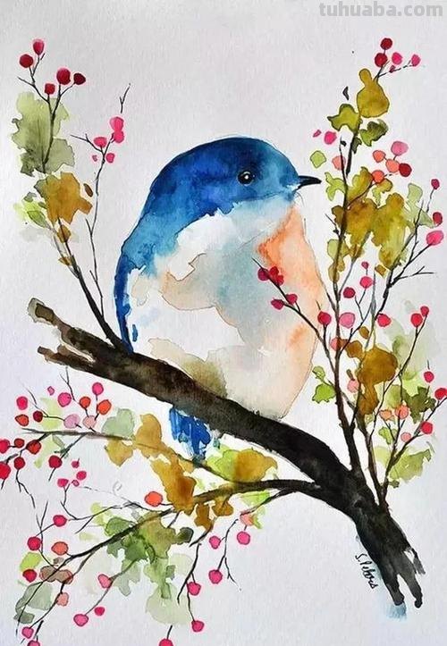 水彩画始终画不好?你只需要先学会这四个技巧