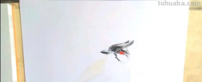 小鸟眼睛怎么画彩铅色 鸟语花香彩铅绘画步骤？
