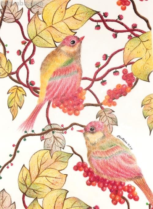 小鸟眼睛怎么画彩铅色 鸟语花香彩铅绘画步骤?