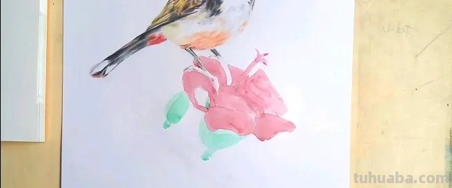 小鸟眼睛怎么画彩铅色 鸟语花香彩铅绘画步骤？