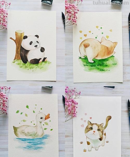 萌萌的动物水彩插画~