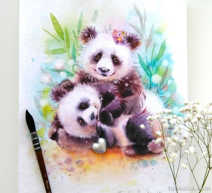 萌萌的动物水彩插画~