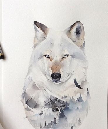 这么独特有创意的动物水彩画,你肯定没见过