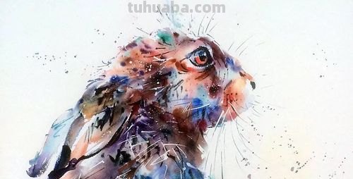 这么独特有创意的动物水彩画,你肯定没见过