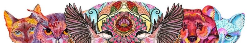 这么独特有创意的动物水彩画，你肯定没见过