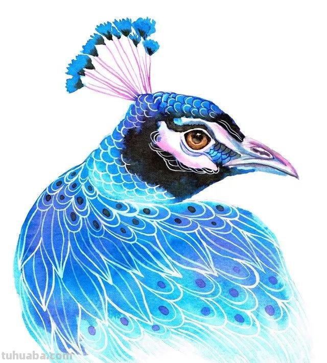 这么独特有创意的动物水彩画，你肯定没见过