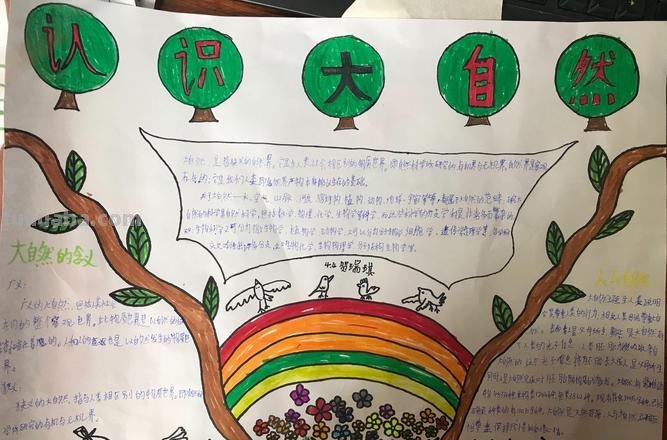观察大自然（科学知识）手抄报汇总，赶紧收藏