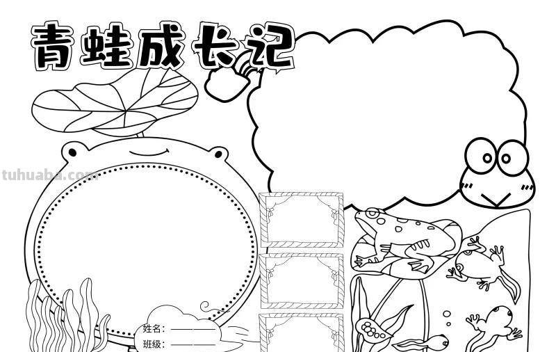 观察大自然（科学知识）手抄报汇总，赶紧收藏