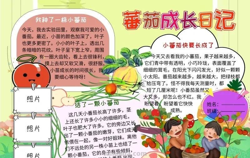 观察大自然（科学知识）手抄报汇总，赶紧收藏