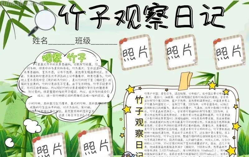观察大自然（科学知识）手抄报汇总，赶紧收藏