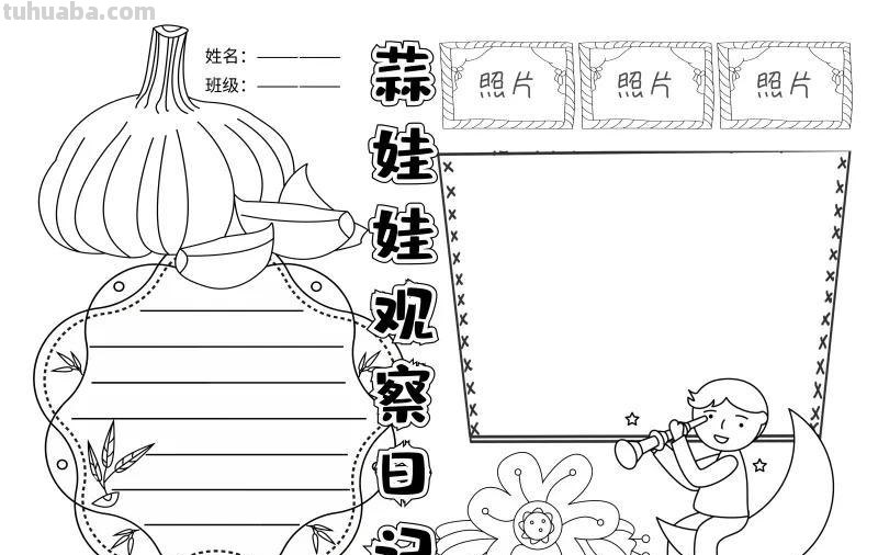 观察大自然（科学知识）手抄报汇总，赶紧收藏