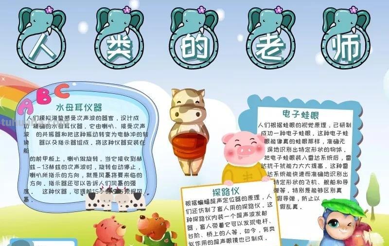 观察大自然（科学知识）手抄报汇总，赶紧收藏