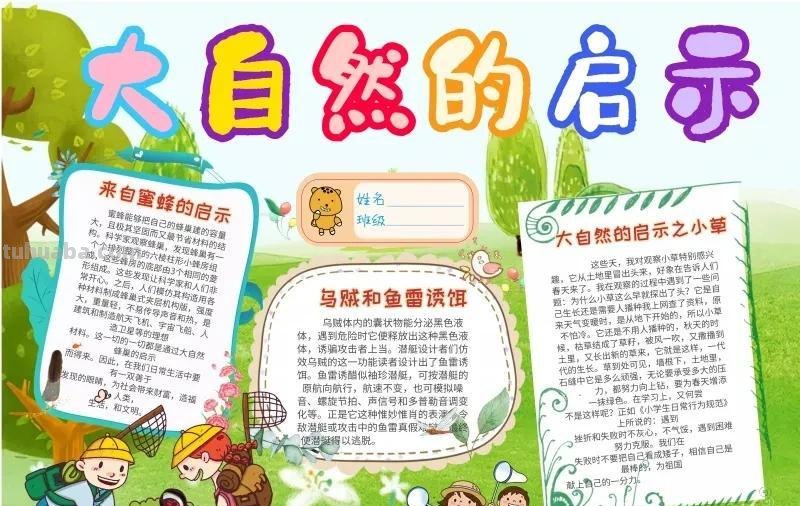 观察大自然（科学知识）手抄报汇总，赶紧收藏