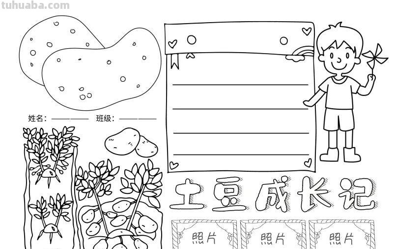 观察大自然（科学知识）手抄报汇总，赶紧收藏