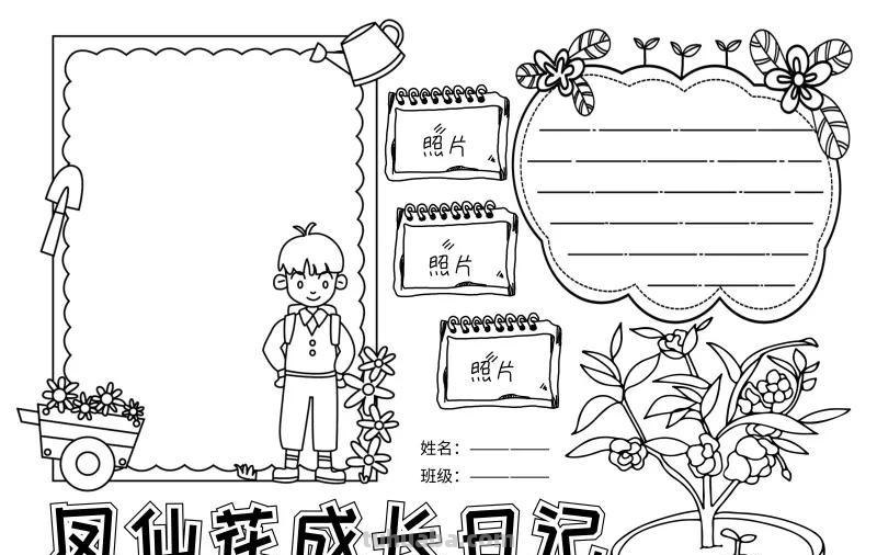观察大自然（科学知识）手抄报汇总，赶紧收藏