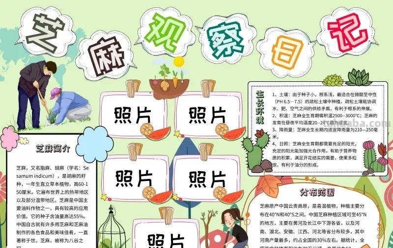 观察大自然（科学知识）手抄报汇总，赶紧收藏