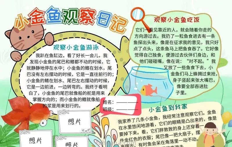 观察大自然（科学知识）手抄报汇总，赶紧收藏