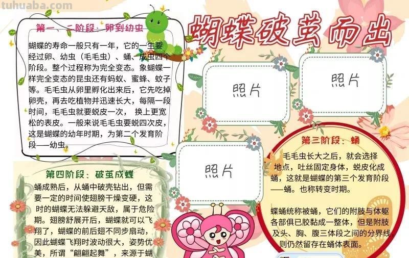 观察大自然（科学知识）手抄报汇总，赶紧收藏