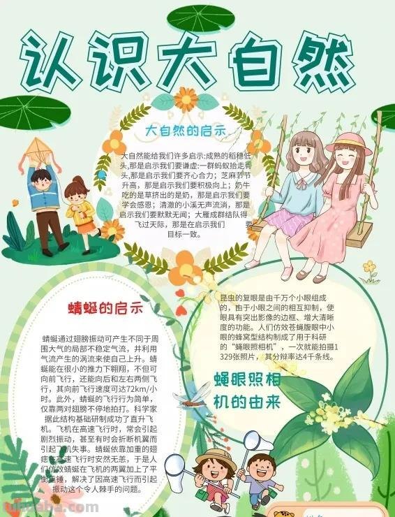 观察大自然（科学知识）手抄报汇总，赶紧收藏