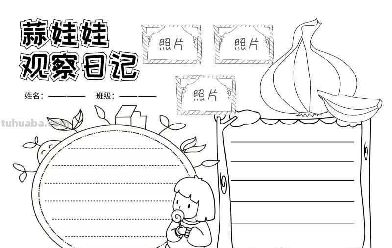 观察大自然（科学知识）手抄报汇总，赶紧收藏
