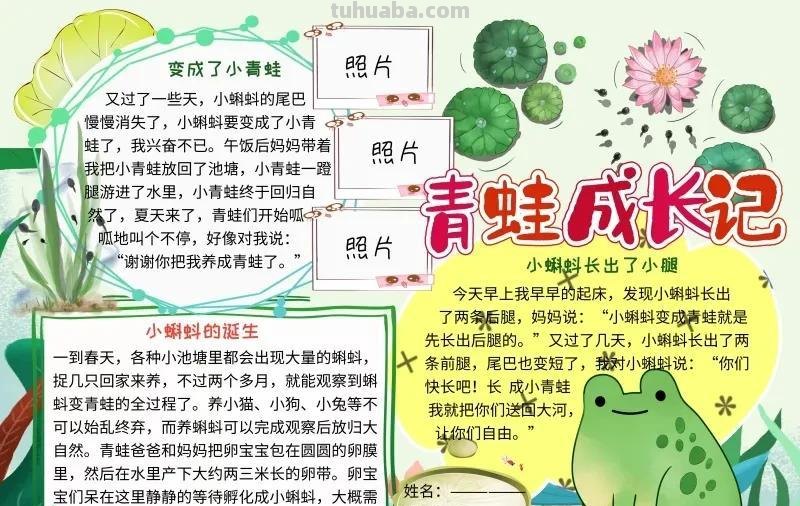 观察大自然（科学知识）手抄报汇总，赶紧收藏