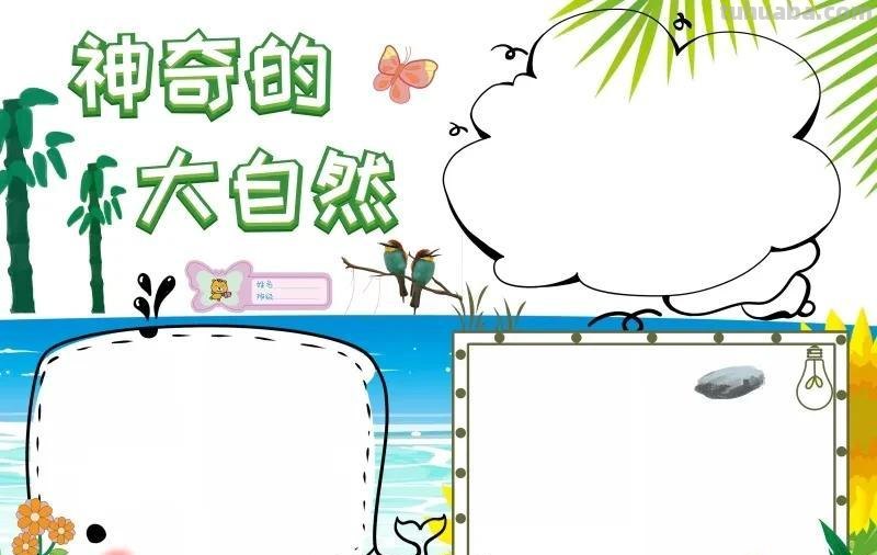 观察大自然（科学知识）手抄报汇总，赶紧收藏