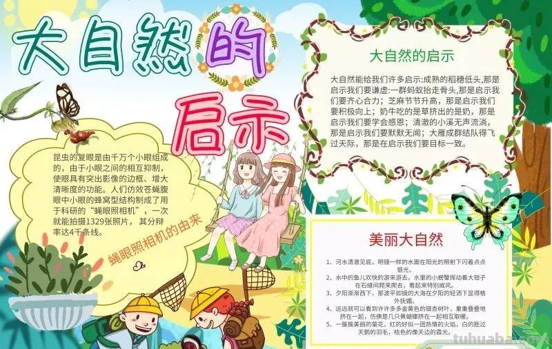 观察大自然（科学知识）手抄报汇总，赶紧收藏