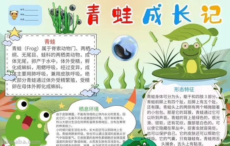 观察大自然（科学知识）手抄报汇总，赶紧收藏