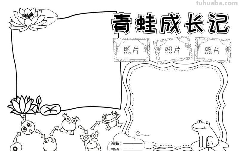 观察大自然（科学知识）手抄报汇总，赶紧收藏