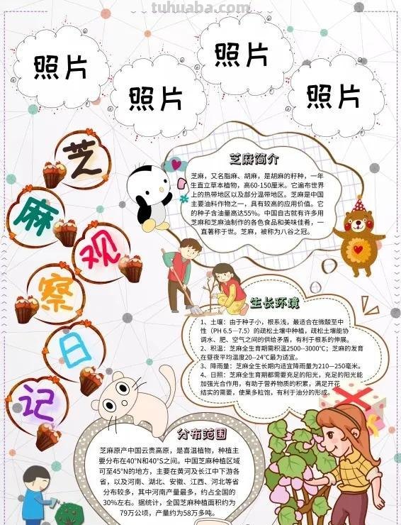 观察大自然（科学知识）手抄报汇总，赶紧收藏