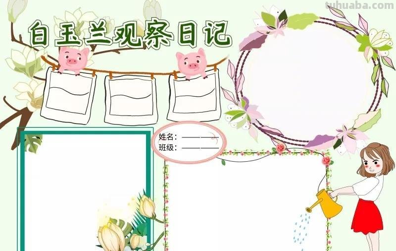 观察大自然（科学知识）手抄报汇总，赶紧收藏