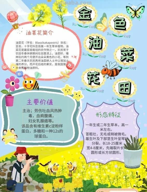 观察大自然（科学知识）手抄报汇总，赶紧收藏