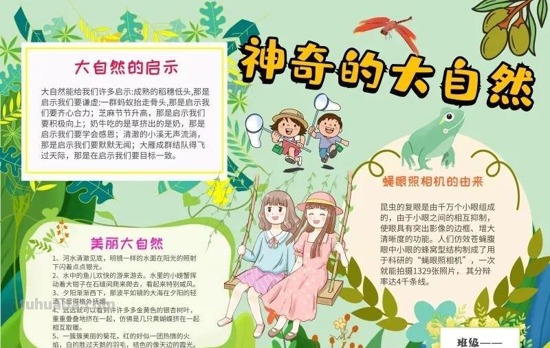 观察大自然（科学知识）手抄报汇总，赶紧收藏
