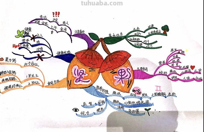 果实功能思维导图怎么画 怎样画思维导图?