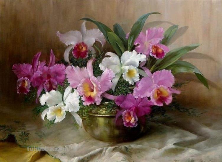 比利时画家Julien Stappers（1875-1960）花卉静物画