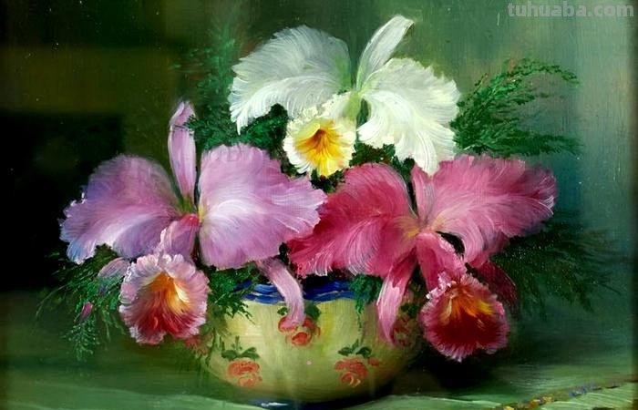 比利时画家Julien Stappers（1875-1960）花卉静物画