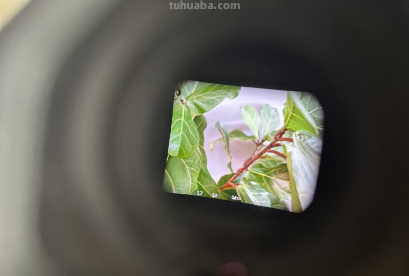 初入坑，说说为了拍出更好看的照片，我入手了哪些摄影器材