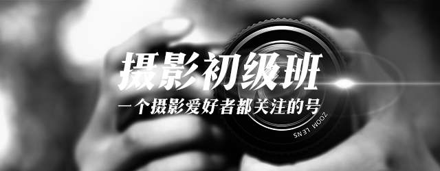 拍鸟没好器材，真的不行