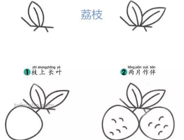 水果怎么画 手抄报 最喜欢的水果手抄报怎么做？