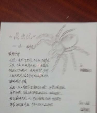 昆虫记读书卡怎么写初一 昆虫记读书卡内容怎么写?