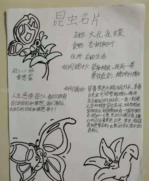 昆虫记读书卡怎么写初一 昆虫记读书卡内容怎么写?