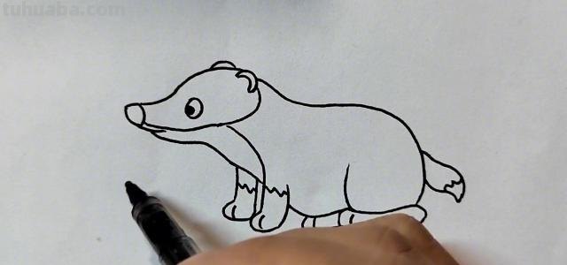 獾怎么简笔画 獾多少画?