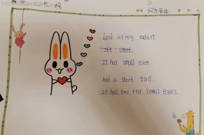 介绍宠物思维导图怎么画 小兔思维导图简单又可爱?