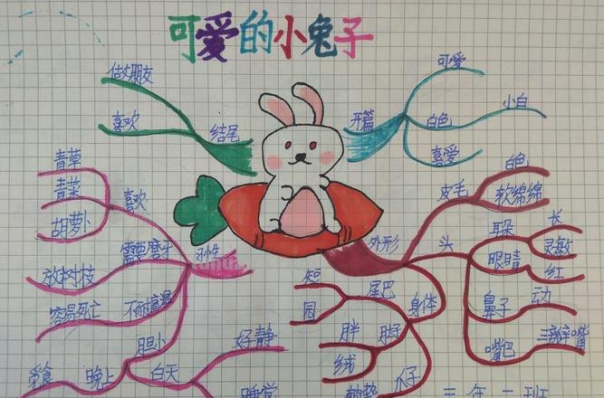 介绍宠物思维导图怎么画 小兔思维导图简单又可爱?