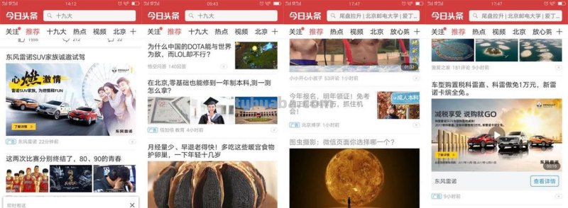 这是一份来自今日头条的居家种菜指南，请查收