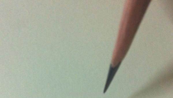 怎么画真实小鸟彩铅 怎么画小鸟步骤教学？