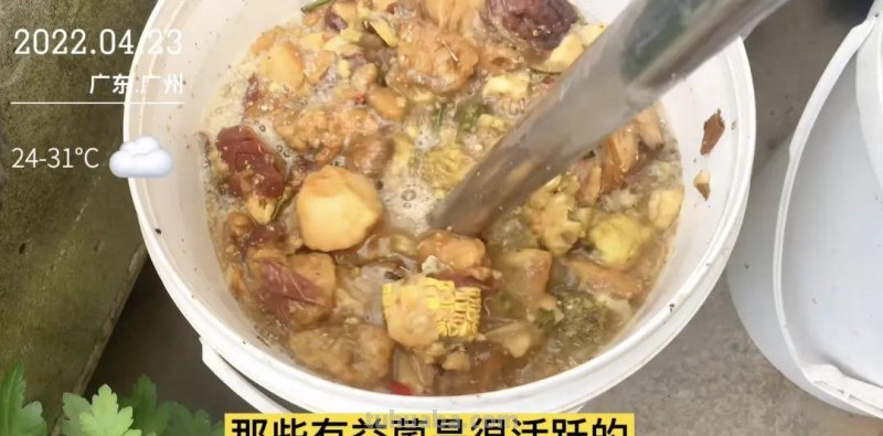 这是一份来自今日头条的居家种菜指南，请查收
