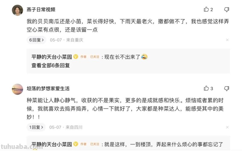 这是一份来自今日头条的居家种菜指南，请查收